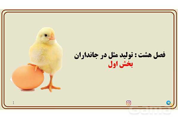 پاورپوینت آموزش فصل 8 علوم پایه هشتم؛ تولیدمثل در جانداران- پیش نمایش