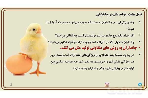 پاورپوینت آموزش فصل 8 علوم پایه هشتم؛ تولیدمثل در جانداران- پیش نمایش