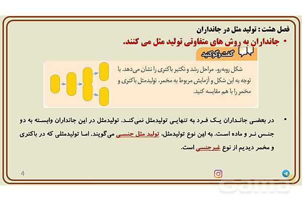 پاورپوینت آموزش فصل 8 علوم پایه هشتم؛ تولیدمثل در جانداران- پیش نمایش