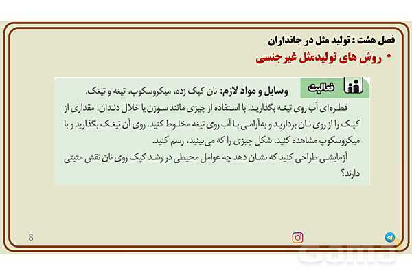 پاورپوینت آموزش فصل 8 علوم پایه هشتم؛ تولیدمثل در جانداران- پیش نمایش