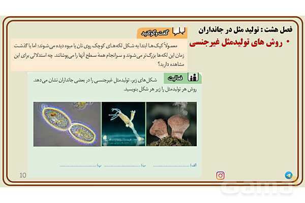 پاورپوینت آموزش فصل 8 علوم پایه هشتم؛ تولیدمثل در جانداران- پیش نمایش