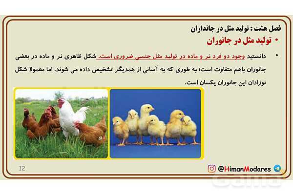 پاورپوینت آموزش فصل 8 علوم پایه هشتم؛ تولیدمثل در جانداران- پیش نمایش