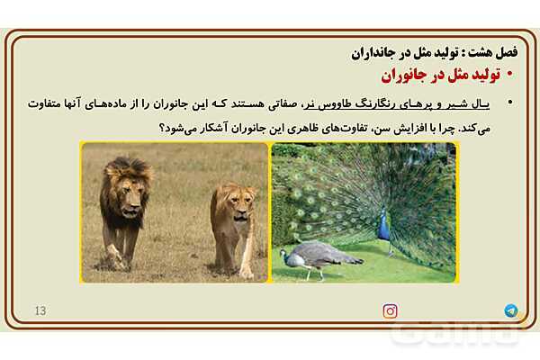 پاورپوینت آموزش فصل 8 علوم پایه هشتم؛ تولیدمثل در جانداران- پیش نمایش