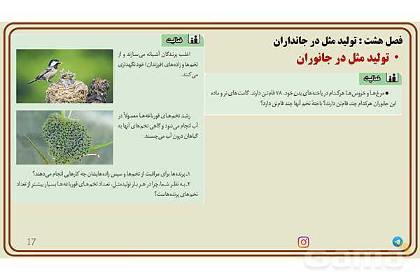 پاورپوینت آموزش فصل 8 علوم پایه هشتم؛ تولیدمثل در جانداران- پیش نمایش