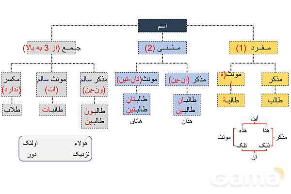 پاورپوینت مفرد، مثنّی، جمع و اسم‌های اشاره- پیش نمایش