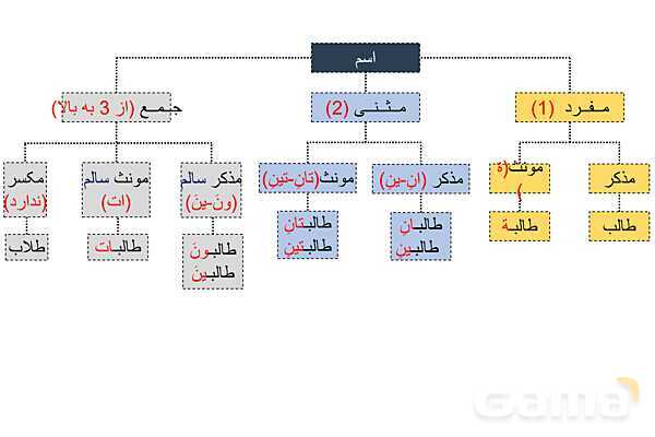 پاورپوینت مفرد، مثنّی، جمع و اسم‌های اشاره- پیش نمایش