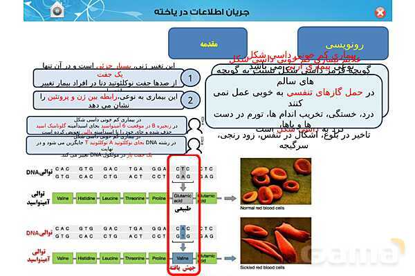 پاورپوینت تدریس زیست شناسی (3) دوازدهم تجربی | فصل 2: جریان اطلاعات در یاخته (گفتار 1 تا 3)- پیش نمایش