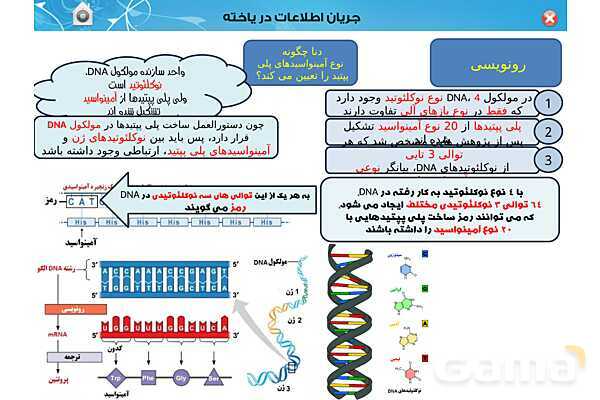 پاورپوینت تدریس زیست شناسی (3) دوازدهم تجربی | فصل 2: جریان اطلاعات در یاخته (گفتار 1 تا 3)- پیش نمایش