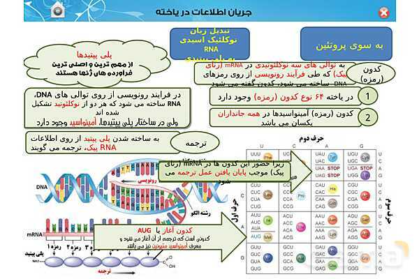 پاورپوینت تدریس زیست شناسی (3) دوازدهم تجربی | فصل 2: جریان اطلاعات در یاخته (گفتار 1 تا 3)- پیش نمایش