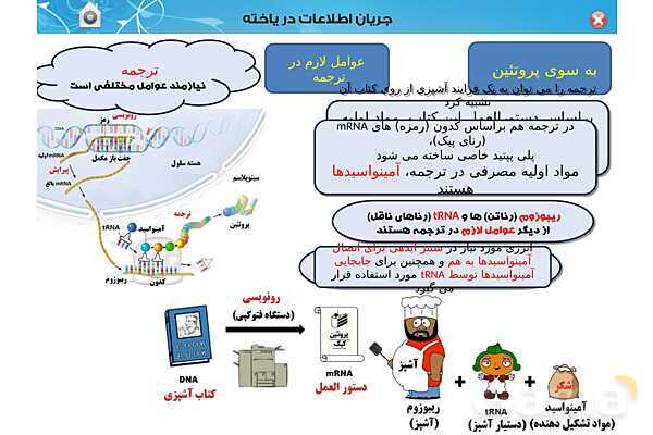 پاورپوینت تدریس زیست شناسی (3) دوازدهم تجربی | فصل 2: جریان اطلاعات در یاخته (گفتار 1 تا 3)- پیش نمایش