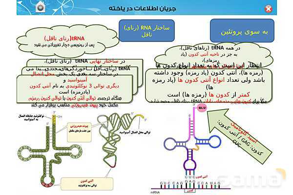 پاورپوینت تدریس زیست شناسی (3) دوازدهم تجربی | فصل 2: جریان اطلاعات در یاخته (گفتار 1 تا 3)- پیش نمایش