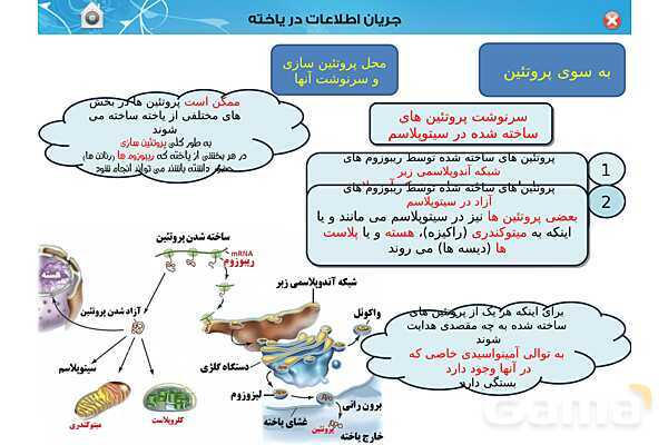 پاورپوینت تدریس زیست شناسی (3) دوازدهم تجربی | فصل 2: جریان اطلاعات در یاخته (گفتار 1 تا 3)- پیش نمایش