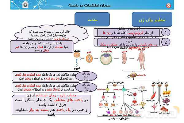 پاورپوینت تدریس زیست شناسی (3) دوازدهم تجربی | فصل 2: جریان اطلاعات در یاخته (گفتار 1 تا 3)- پیش نمایش