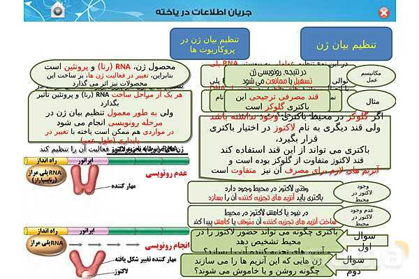 پاورپوینت تدریس زیست شناسی (3) دوازدهم تجربی | فصل 2: جریان اطلاعات در یاخته (گفتار 1 تا 3)- پیش نمایش