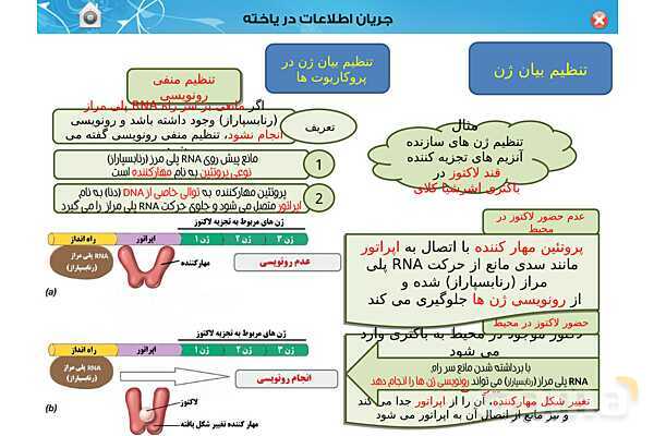 پاورپوینت تدریس زیست شناسی (3) دوازدهم تجربی | فصل 2: جریان اطلاعات در یاخته (گفتار 1 تا 3)- پیش نمایش