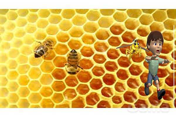 پاورپوینت درس 9 علوم چهارم ابتدائی: ساختمان سلول و دستگاه گوارش- پیش نمایش