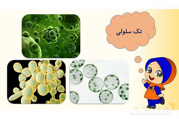 پاورپوینت درس 9 علوم چهارم ابتدائی: ساختمان سلول و دستگاه گوارش- پیش نمایش