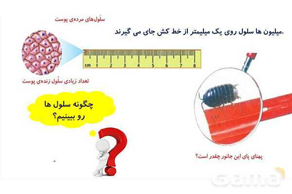 پاورپوینت درس 9 علوم چهارم ابتدائی: ساختمان سلول و دستگاه گوارش- پیش نمایش