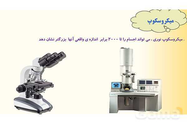 پاورپوینت درس 9 علوم چهارم ابتدائی: ساختمان سلول و دستگاه گوارش- پیش نمایش