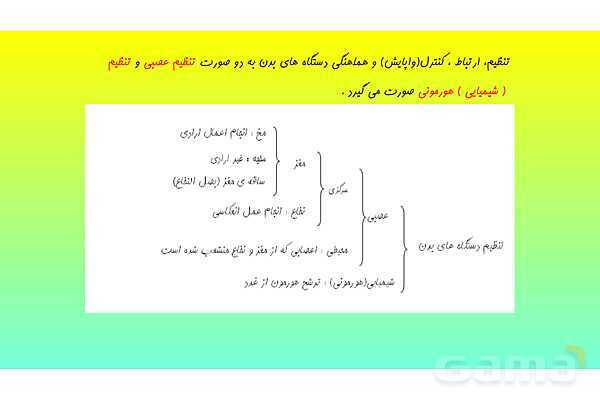 پاورپوینت فصل 4 علوم تجربی هشتم - تنظیم عصبی- پیش نمایش