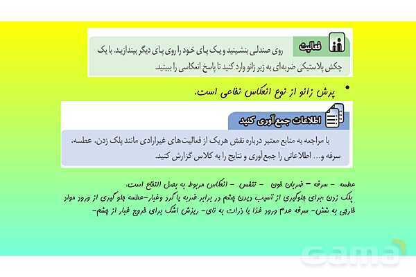 پاورپوینت فصل 4 علوم تجربی هشتم - تنظیم عصبی- پیش نمایش