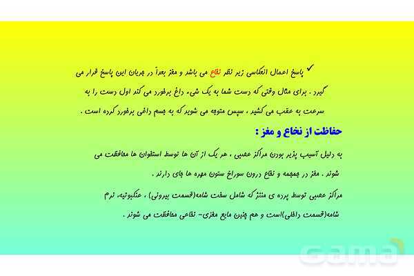 پاورپوینت فصل 4 علوم تجربی هشتم - تنظیم عصبی- پیش نمایش