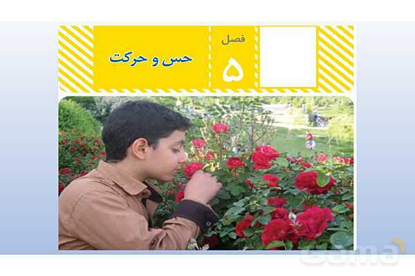 پاورپوینت فصل 5 علوم تجربی هشتم - حس و حرکت- پیش نمایش