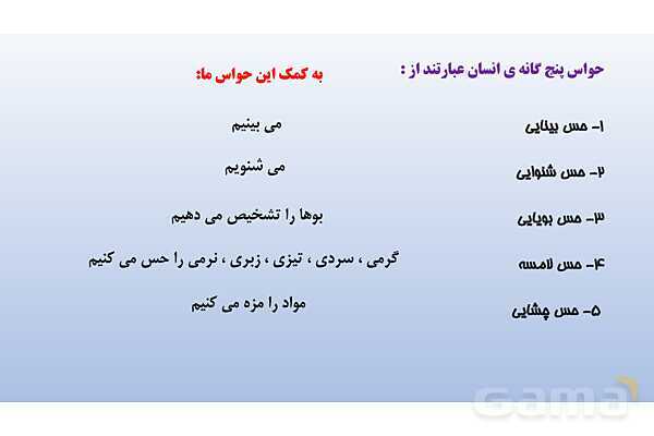 پاورپوینت فصل 5 علوم تجربی هشتم - حس و حرکت- پیش نمایش