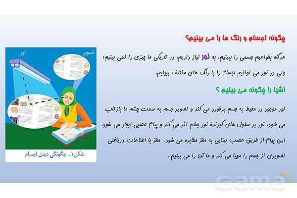 پاورپوینت فصل 5 علوم تجربی هشتم - حس و حرکت- پیش نمایش