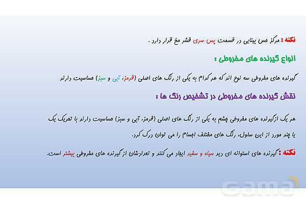 پاورپوینت فصل 5 علوم تجربی هشتم - حس و حرکت- پیش نمایش