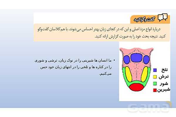 پاورپوینت فصل 5 علوم تجربی هشتم - حس و حرکت- پیش نمایش