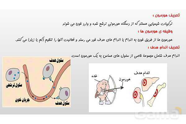 پاورپوینت فصل 6 علوم تجربی هشتم - تنظیم هورمونی- پیش نمایش