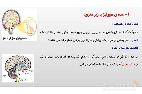 پاورپوینت فصل 6 علوم تجربی هشتم - تنظیم هورمونی- پیش نمایش