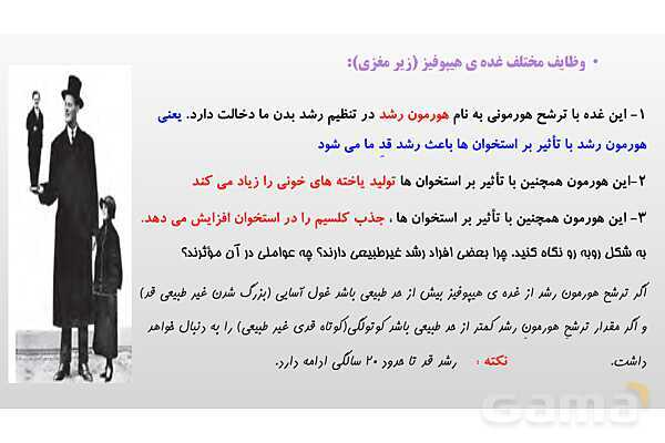 پاورپوینت فصل 6 علوم تجربی هشتم - تنظیم هورمونی- پیش نمایش