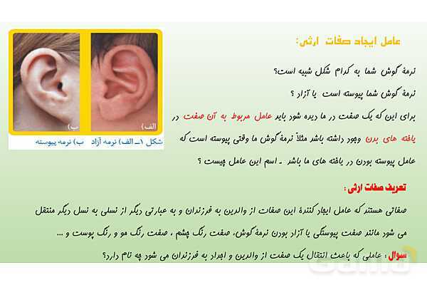 پاورپوینت فصل 7 علوم تجربی هشتم - الفبای زیست فناوری- پیش نمایش