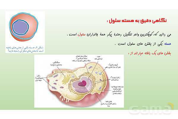 پاورپوینت فصل 7 علوم تجربی هشتم - الفبای زیست فناوری- پیش نمایش