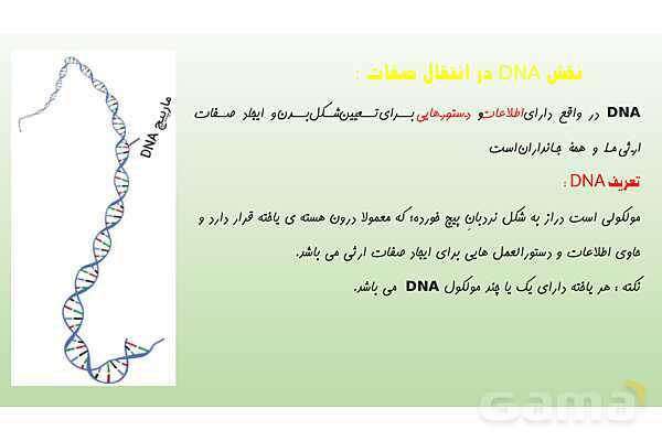 پاورپوینت فصل 7 علوم تجربی هشتم - الفبای زیست فناوری- پیش نمایش