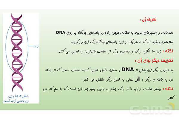 پاورپوینت فصل 7 علوم تجربی هشتم - الفبای زیست فناوری- پیش نمایش
