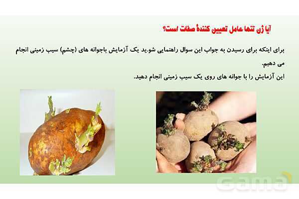 پاورپوینت فصل 7 علوم تجربی هشتم - الفبای زیست فناوری- پیش نمایش