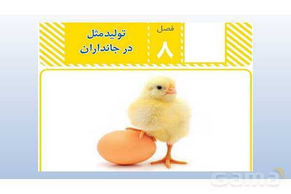 پاورپوینت فصل 8 علوم تجربی هشتم - تولید مثل در جانداران- پیش نمایش
