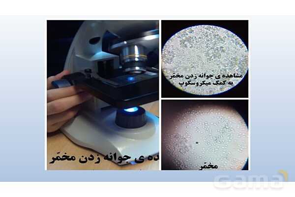 پاورپوینت فصل 8 علوم تجربی هشتم - تولید مثل در جانداران- پیش نمایش