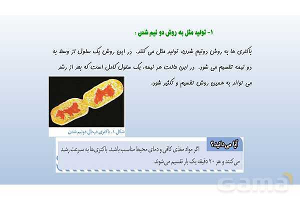 پاورپوینت فصل 8 علوم تجربی هشتم - تولید مثل در جانداران- پیش نمایش