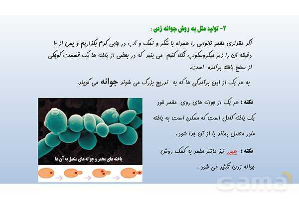 پاورپوینت فصل 8 علوم تجربی هشتم - تولید مثل در جانداران- پیش نمایش