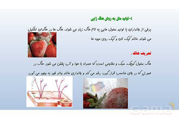 پاورپوینت فصل 8 علوم تجربی هشتم - تولید مثل در جانداران- پیش نمایش