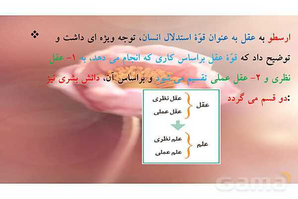 پاورپوینت درس 7 فلسفه دوازدهم؛ عقل در فلسفه 1- پیش نمایش