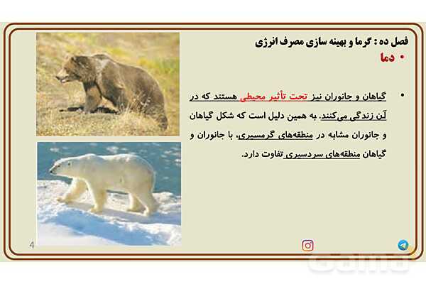 پاورپوینت تدریس فصل 10 علوم هفتم - پیش نمایش