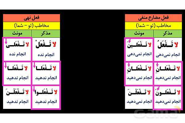پاورپوینت عربی نهم (تفاوت فعل مضارع منفی و فعل نهی)- پیش نمایش