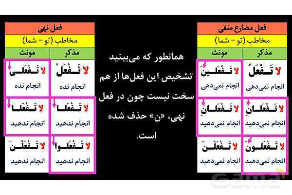 پاورپوینت عربی نهم (تفاوت فعل مضارع منفی و فعل نهی)- پیش نمایش