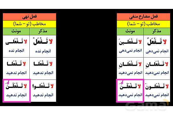 پاورپوینت عربی نهم (تفاوت فعل مضارع منفی و فعل نهی)- پیش نمایش