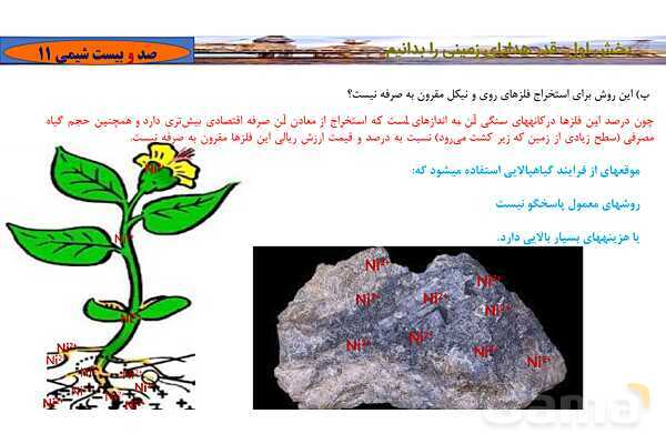 پاورپوینت آموزشی بازده نظری و عملی واکنش- پیش نمایش